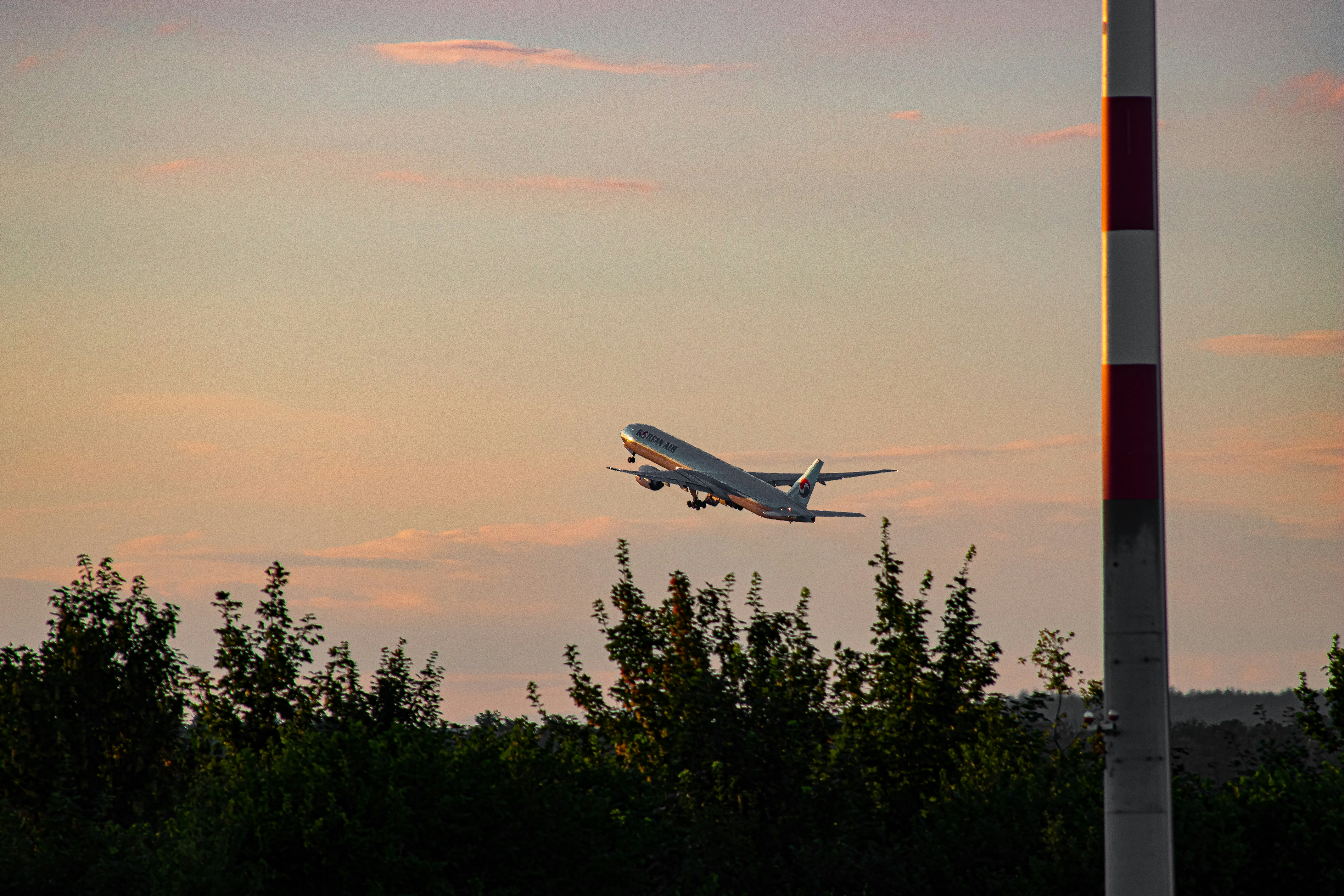 a large jetliner flying through a cloudy sky, 