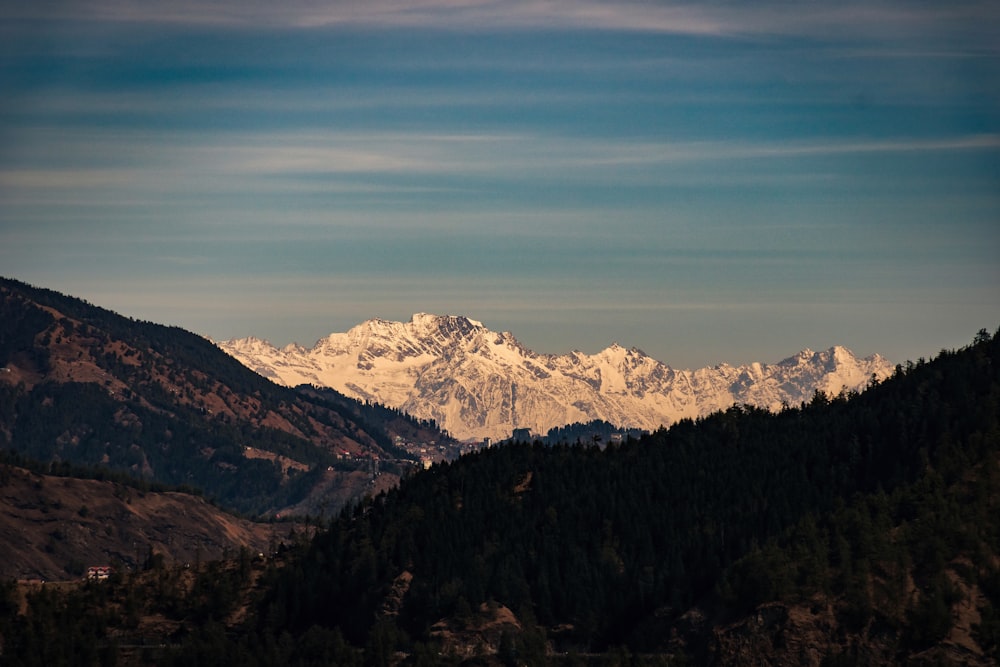 a view of a mountain range with trees in the foreground