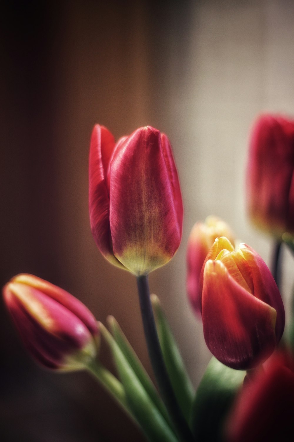 a bunch of red and yellow tulips in a vase