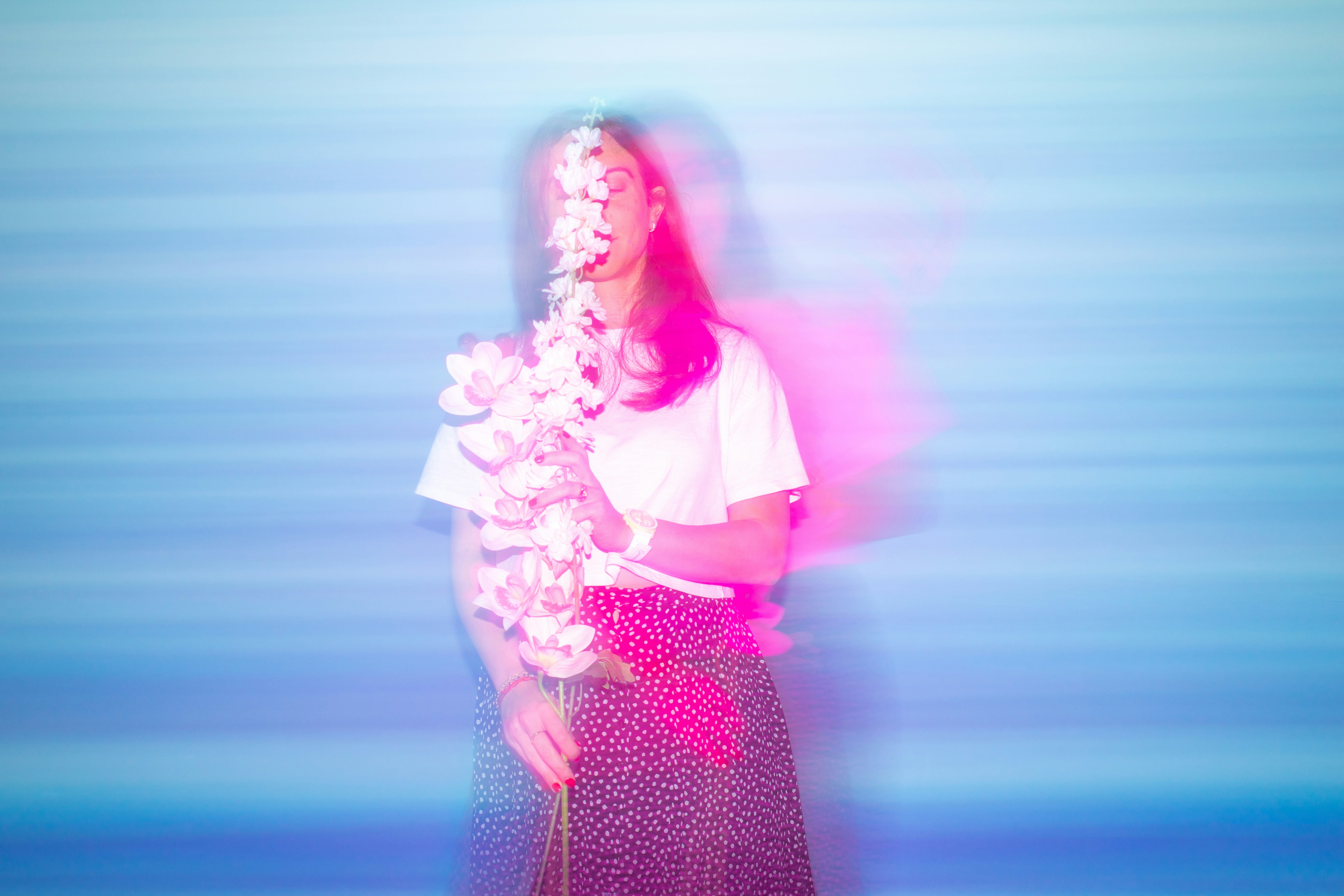 Photo by michaelwave