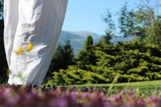 A serene outdoor scene with a person enjoying nature.