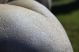 Close-up view of a smooth, textured stone surface with a pale and neutral color. The green blurred background indicates an outdoor setting, possibly a garden or natural area.