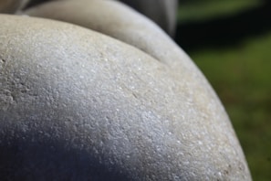 Close-up view of a smooth, textured stone surface with a pale and neutral color. The green blurred background indicates an outdoor setting, possibly a garden or natural area.
