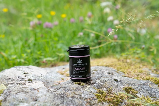 A small black container labeled 'CRYSTALWEED GELATO' is placed on a grey rock in a green field. The background features blurred wildflowers in various colors, including yellow and purple, adding a natural setting.