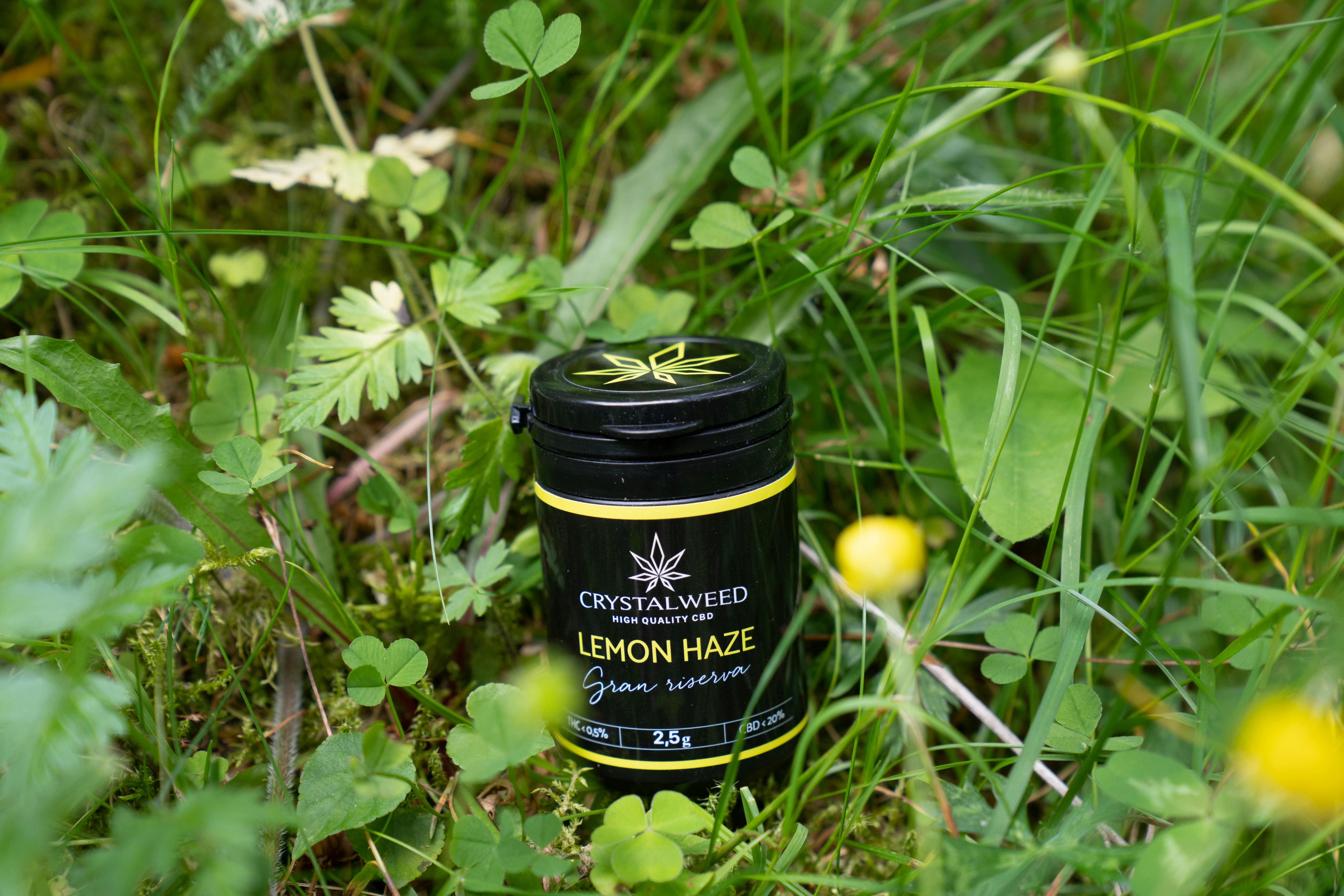 a small jar of lemon haze sitting in the grass