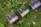 Three small rectangular boxes with elegant packaging design featuring large letters and intricate patterns are placed on lush green grass with scattered clover and small white flowers.