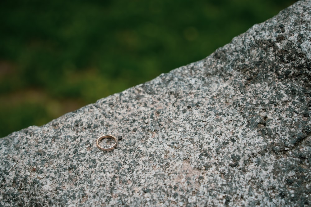 a wedding ring is sitting on a rock