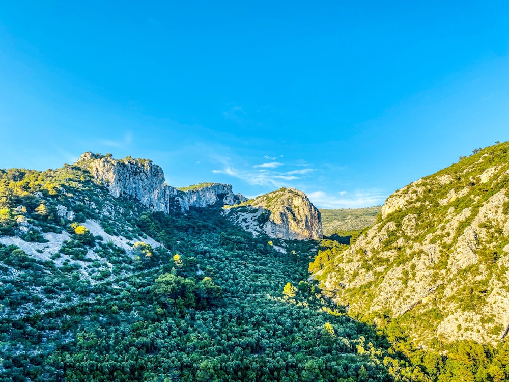 a view of a mountain range with trees and mountains in the background