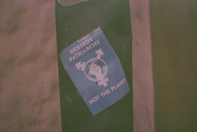 A blue sticker featuring a symbol of gender equality encircling a fist, accompanied by the text 'Destroy Patriarchy, Not the Planet' is adhered to a green surface.