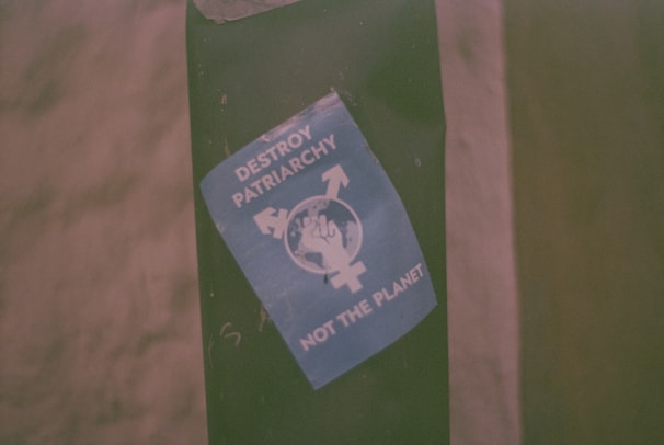 A blue sticker featuring a symbol of gender equality encircling a fist, accompanied by the text 'Destroy Patriarchy, Not the Planet' is adhered to a green surface.