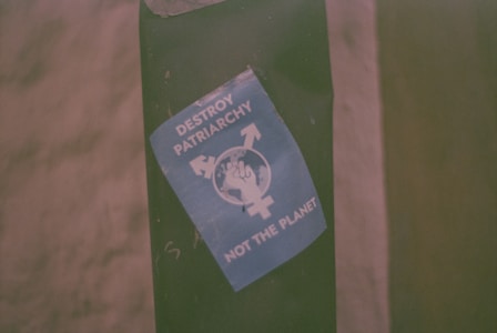 A blue sticker featuring a symbol of gender equality encircling a fist, accompanied by the text 'Destroy Patriarchy, Not the Planet' is adhered to a green surface.