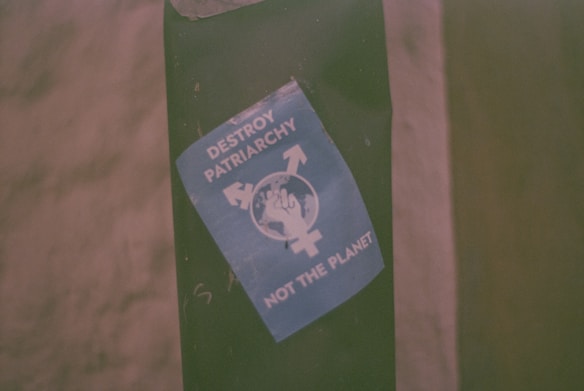 A blue sticker featuring a symbol of gender equality encircling a fist, accompanied by the text 'Destroy Patriarchy, Not the Planet' is adhered to a green surface.