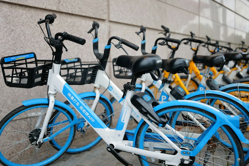 Shared bikes on street