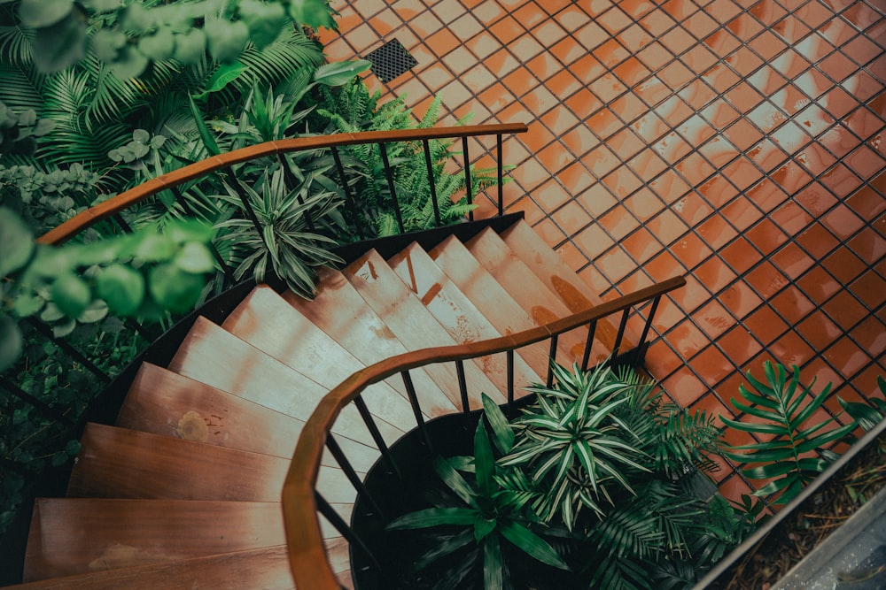 a spiral staircase with plants and a tiled wall