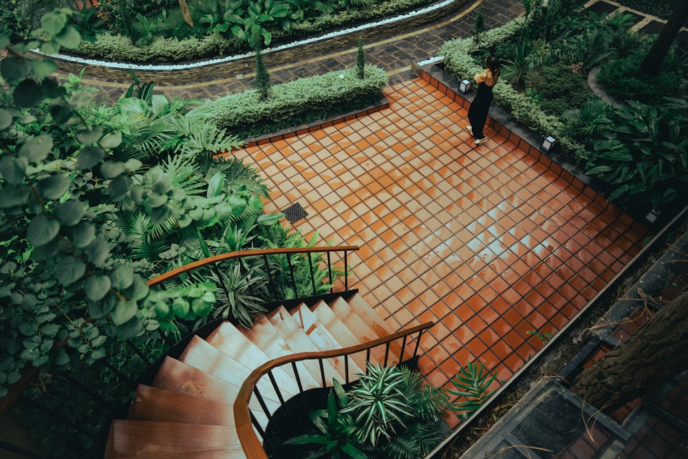 a person walking down a set of stairs in a garden