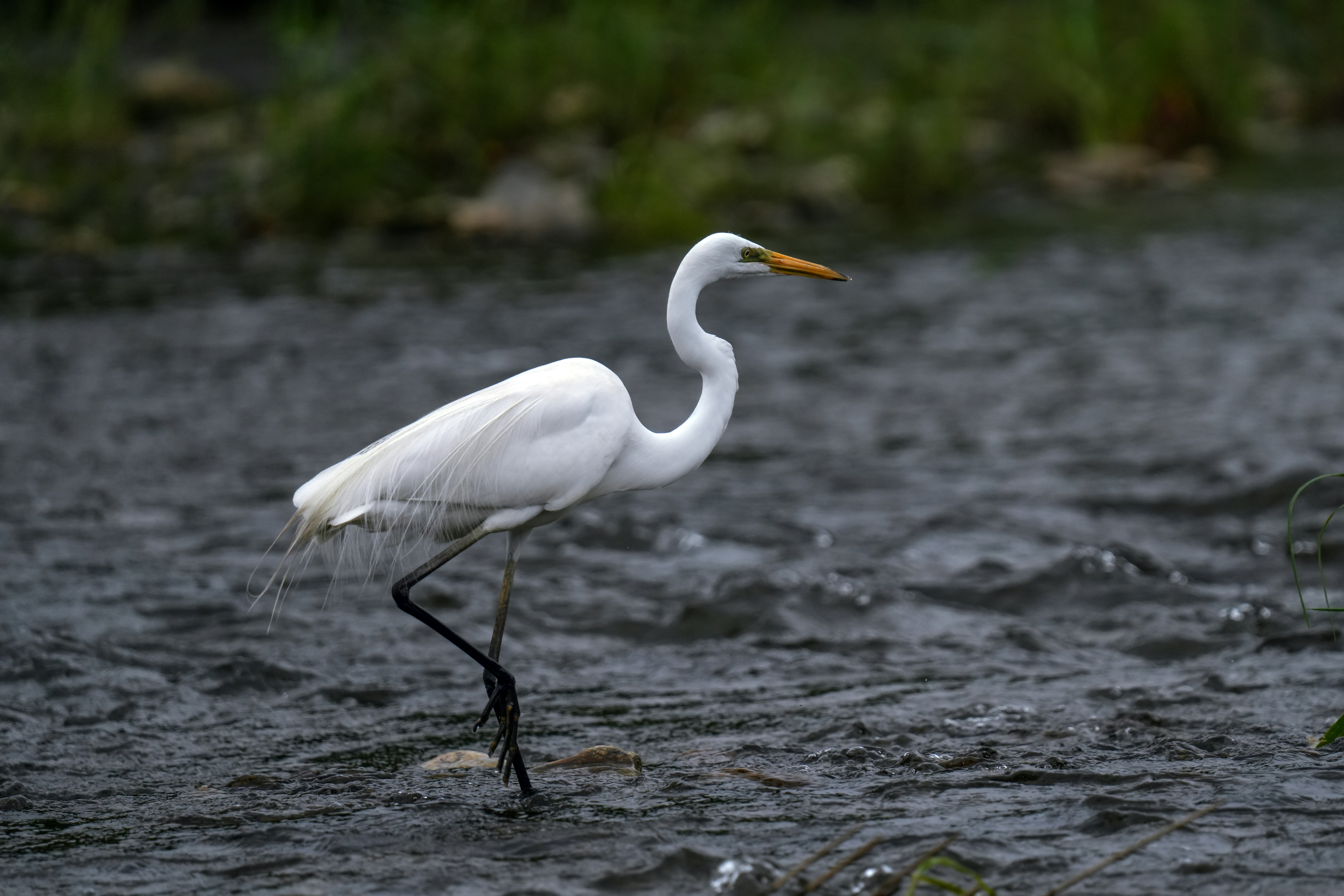 Photo by kim_dae_jeung