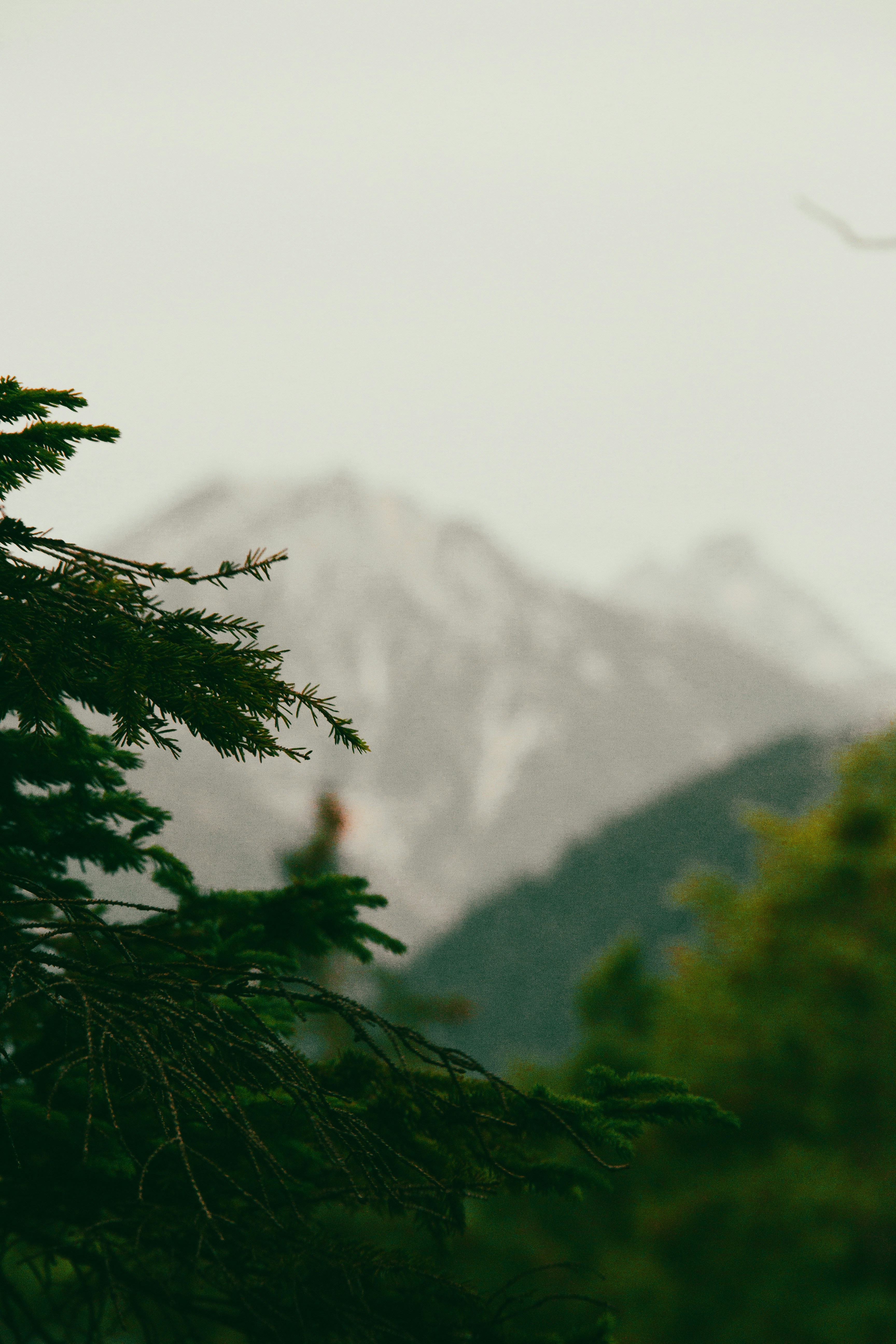 Photo by charlieh_viewfinder