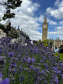 Cover art showing Poppy and Penny in front of Big Ben with cheerful colors.