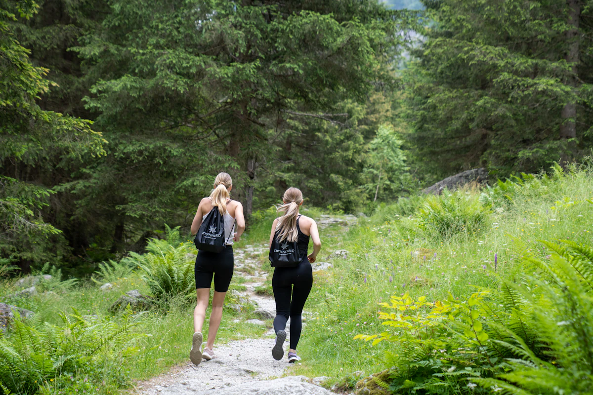 Zwei Menschen gehen einen Waldweg als Symbol für einen geplanten Übergang aus dem Rauchen