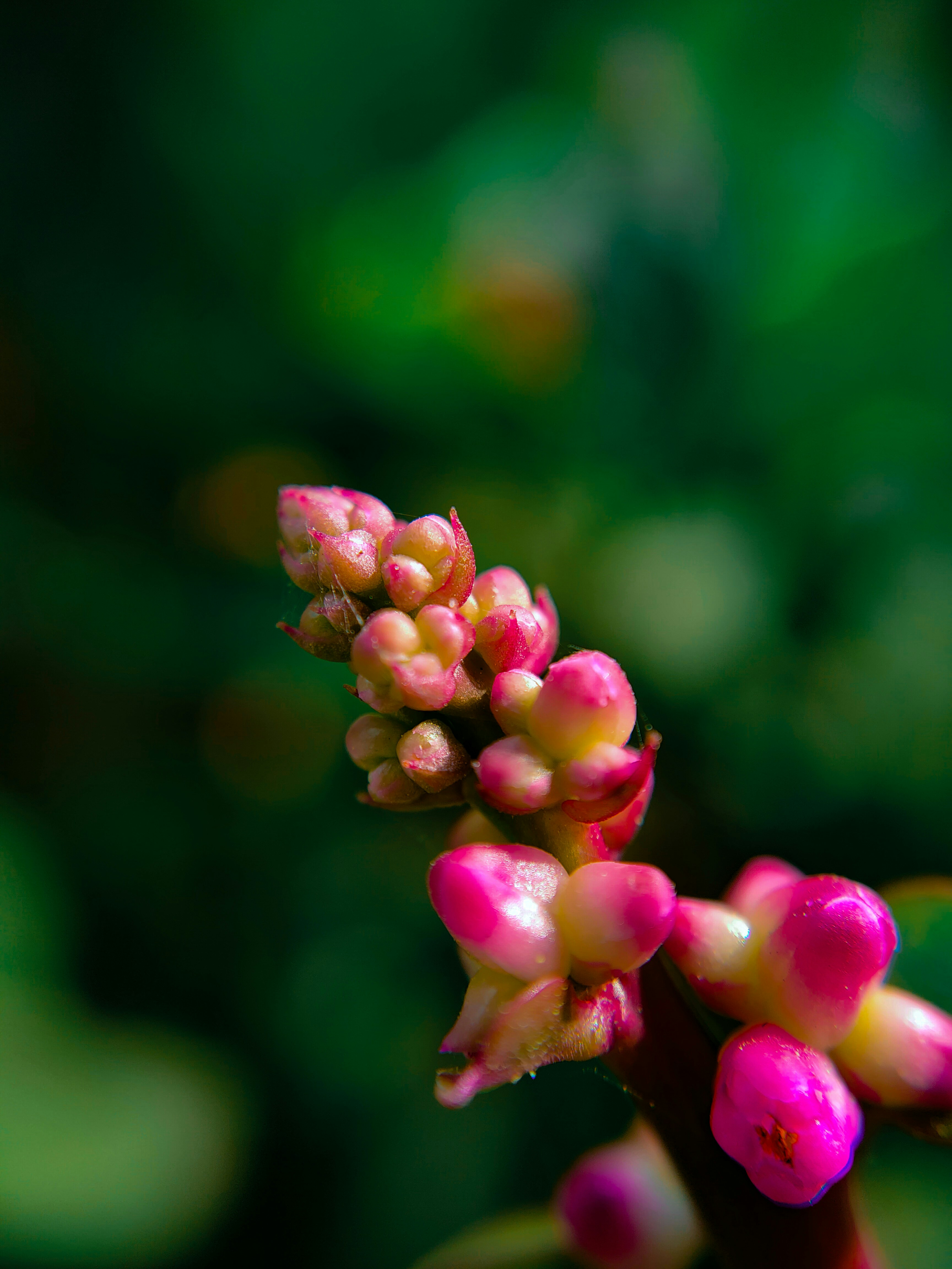 Photo by sujaypaulsp