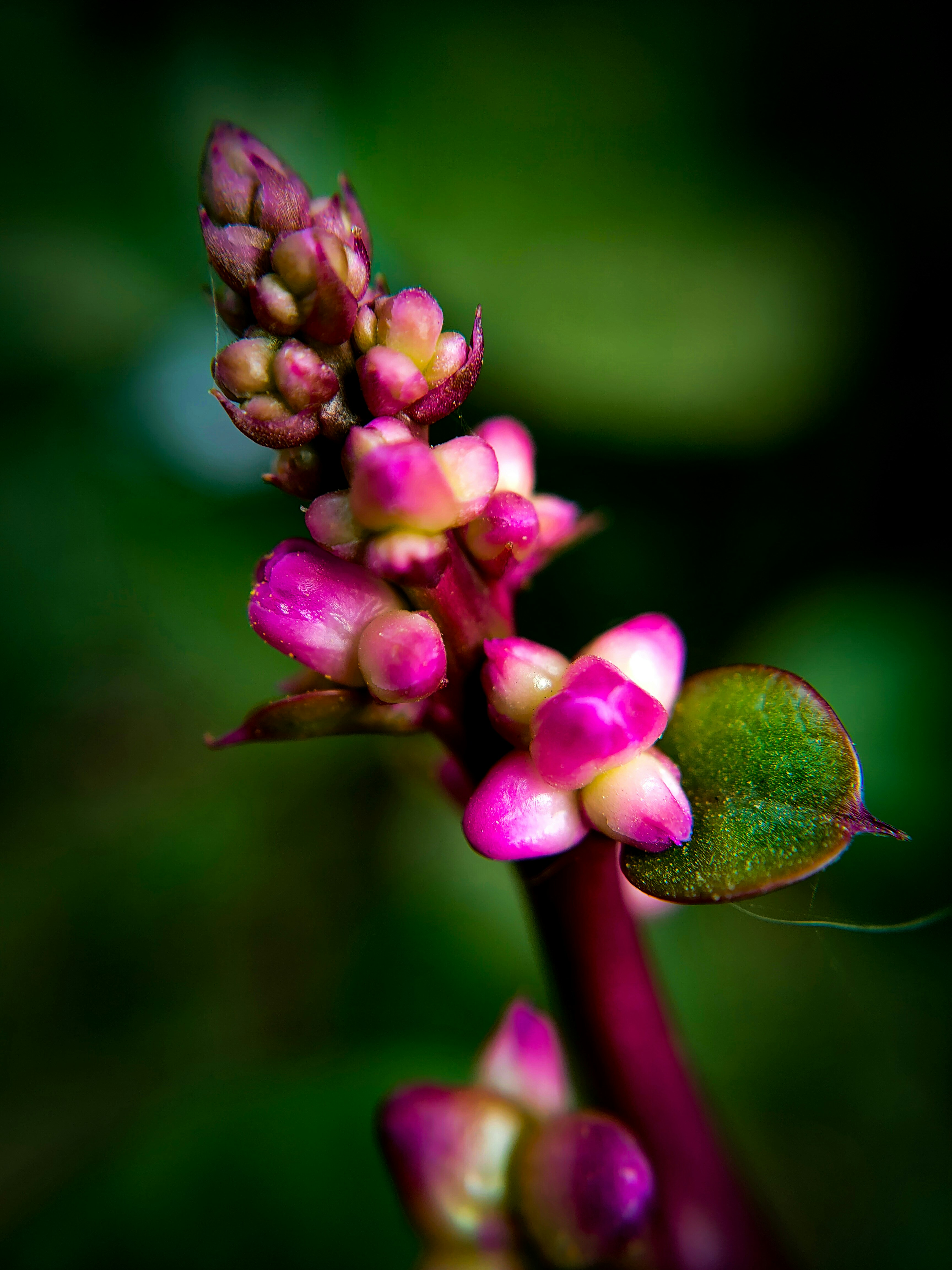 Photo by sujaypaulsp