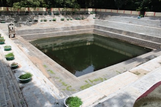 A rectangular stone water tank with multiple tiered steps leading down to the water, surrounded by potted plants and a small structure on one side. There are various shades of green and brown on the steps and around the water's edge. Trees and a wall can be seen in the background.