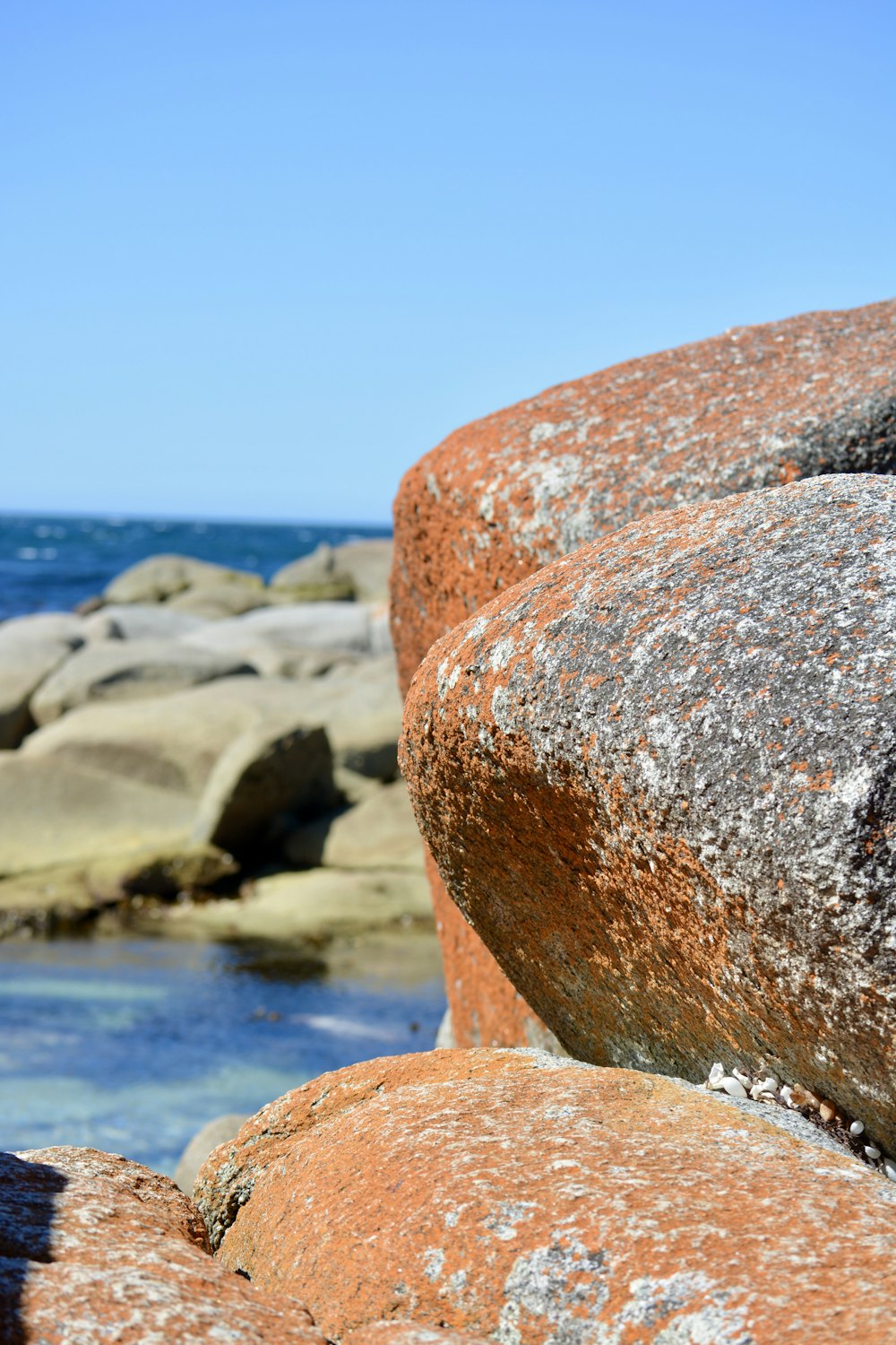 a close up of rocks near the ocean