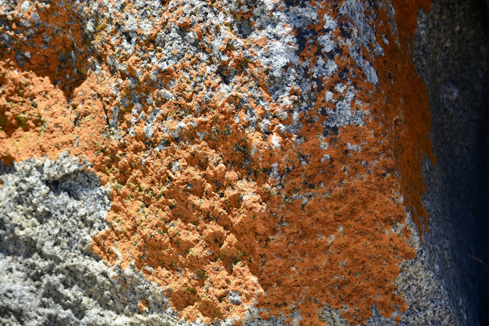 a close up of a rock with orange and gray paint