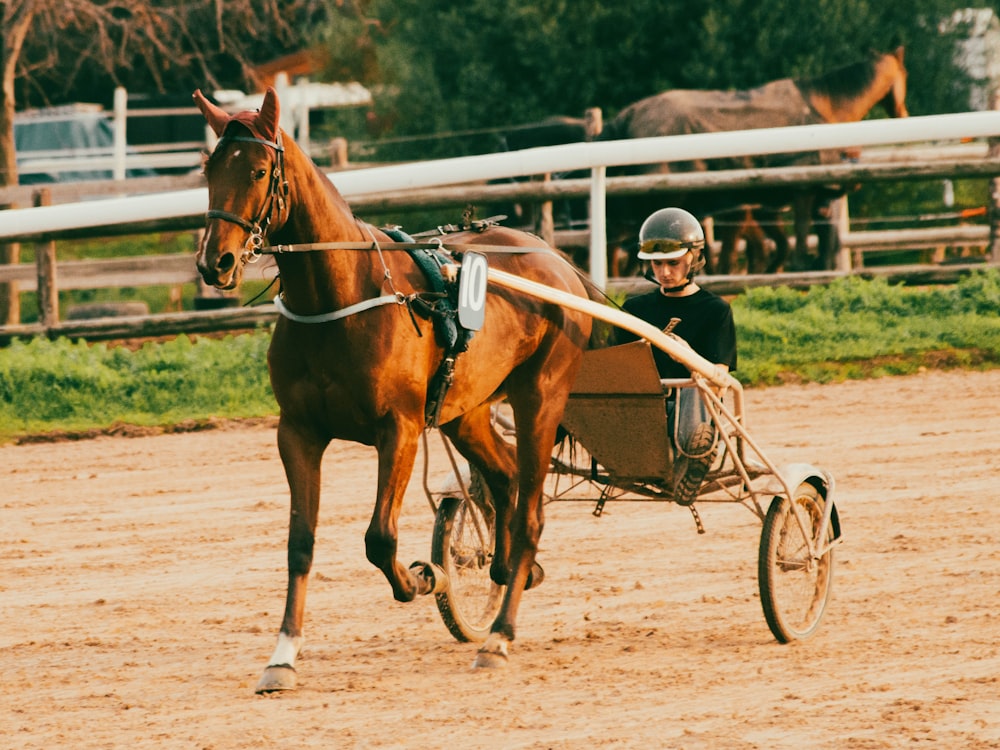 a man riding a horse drawn carriage across a dirt field