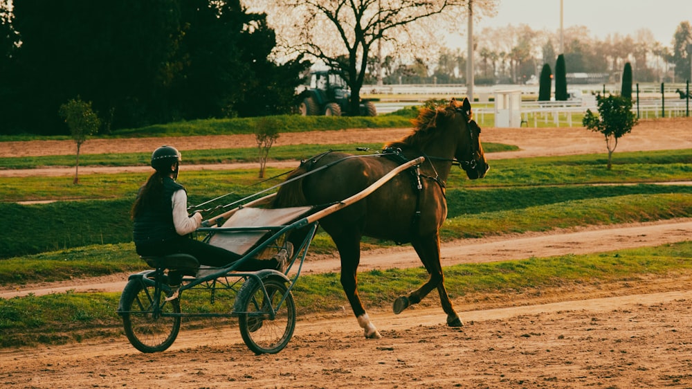 a person riding a horse drawn carriage down a dirt road