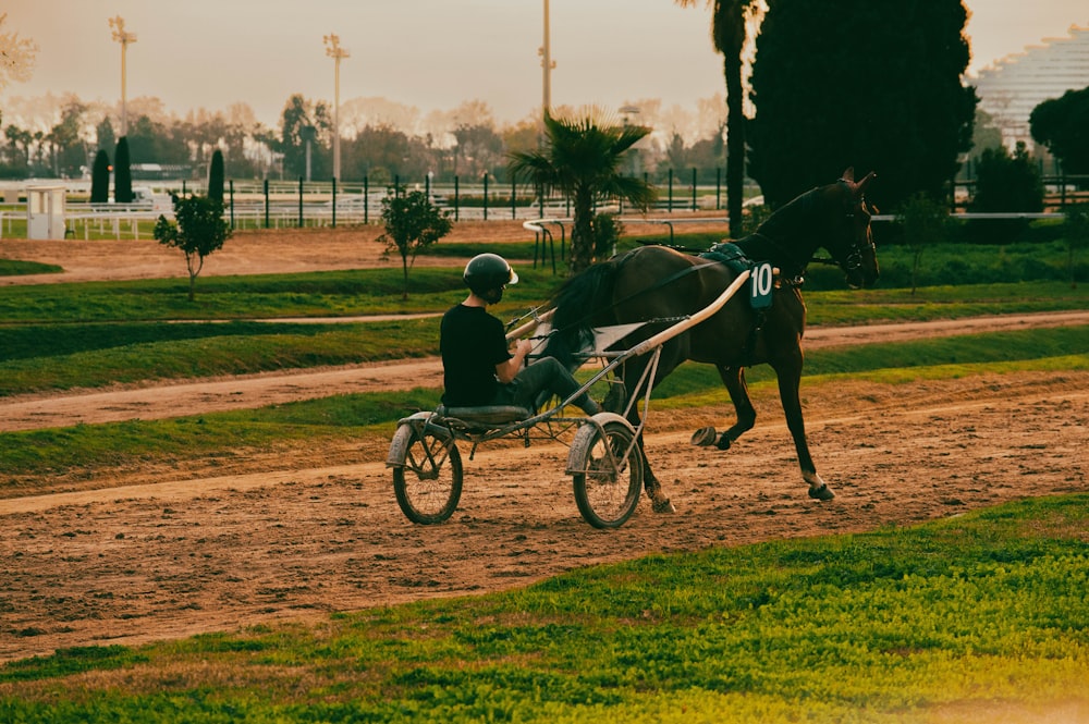 a man riding a horse pulling a cart down a dirt road