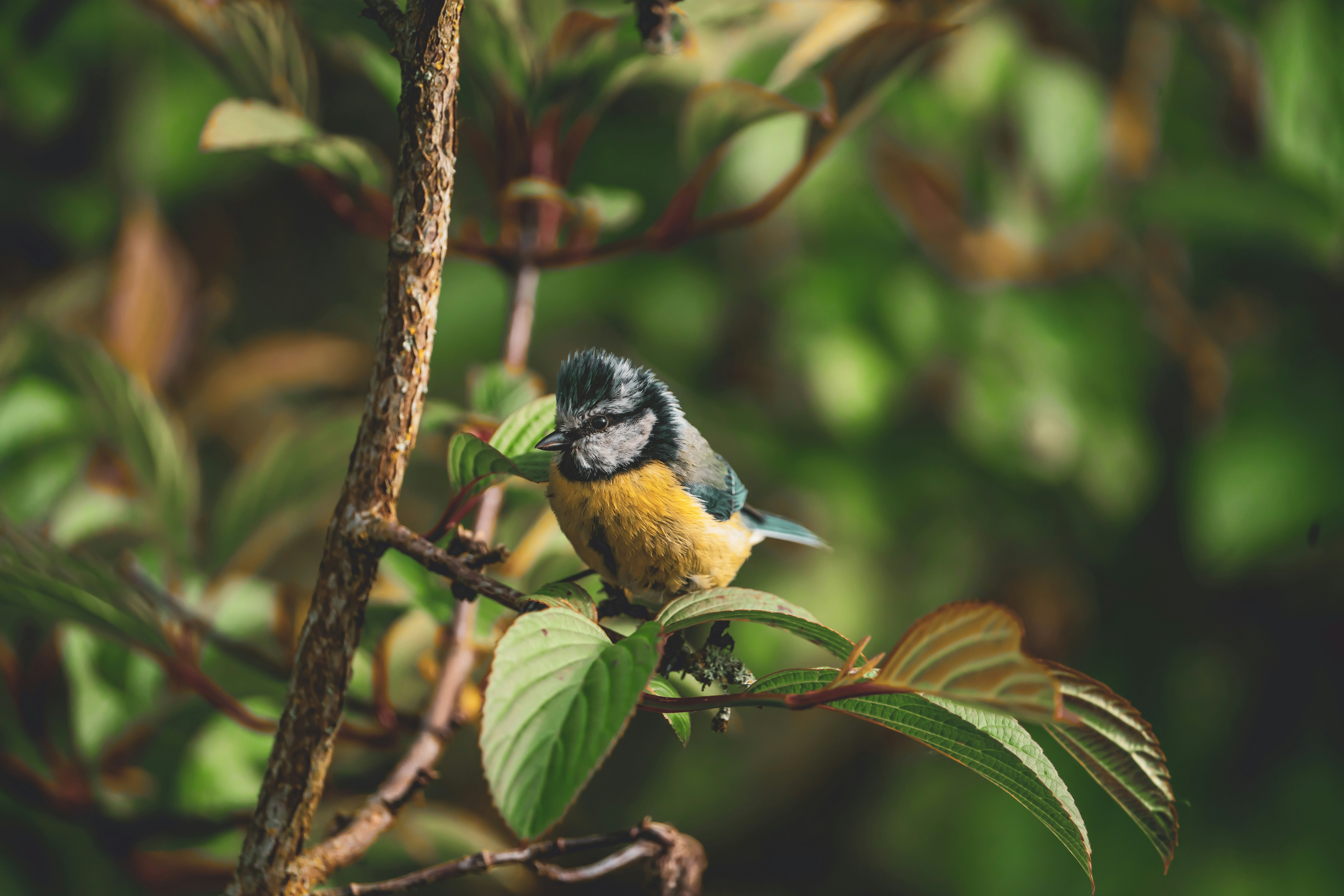 Photo by ok_photography