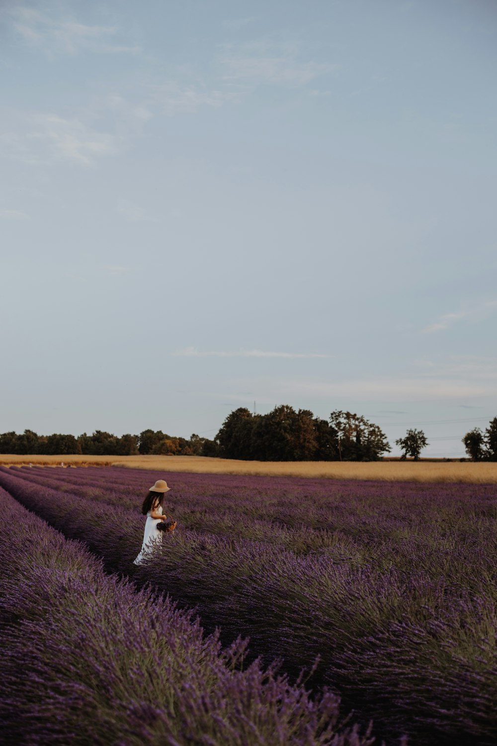 a woman standing in a field of lavender