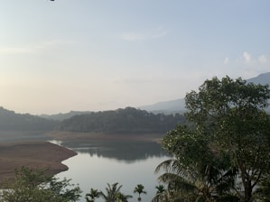 Peaceful nature scene with blue-green hues reflecting serenity.