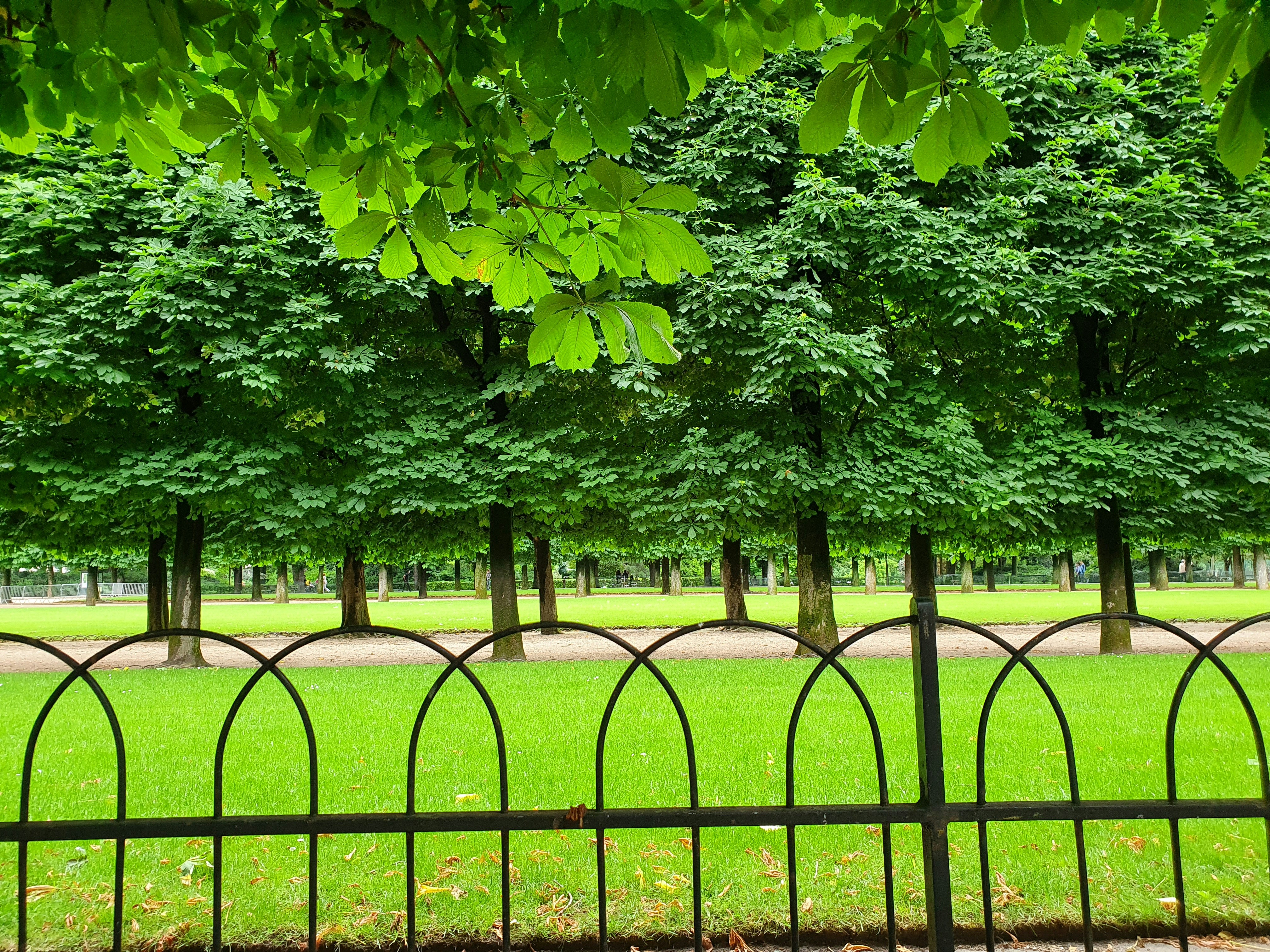 Web security features on a landscaping website