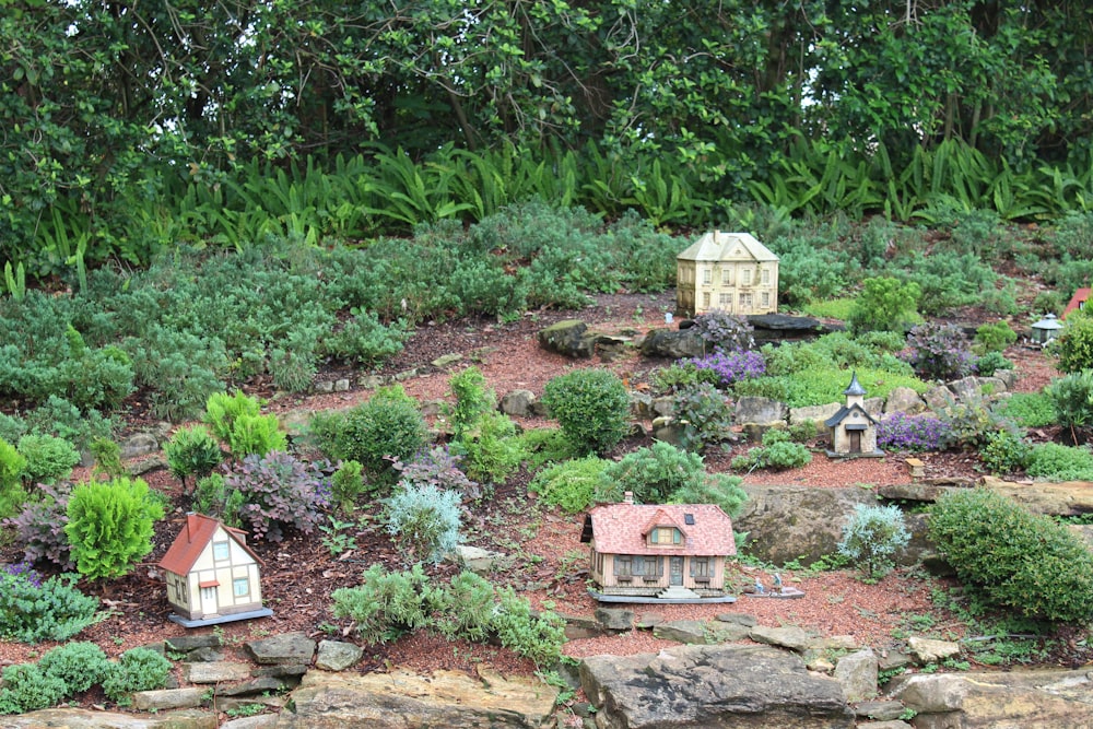 a garden with a lot of rocks and plants