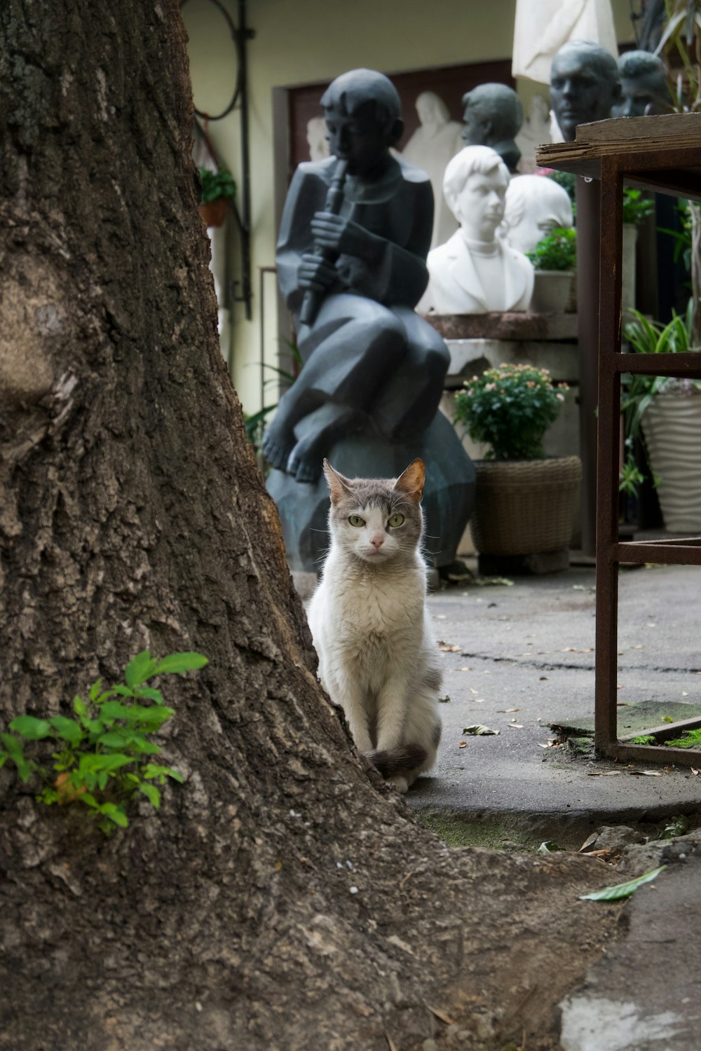 eine Katze, die vor einer Statue auf dem Boden sitzt