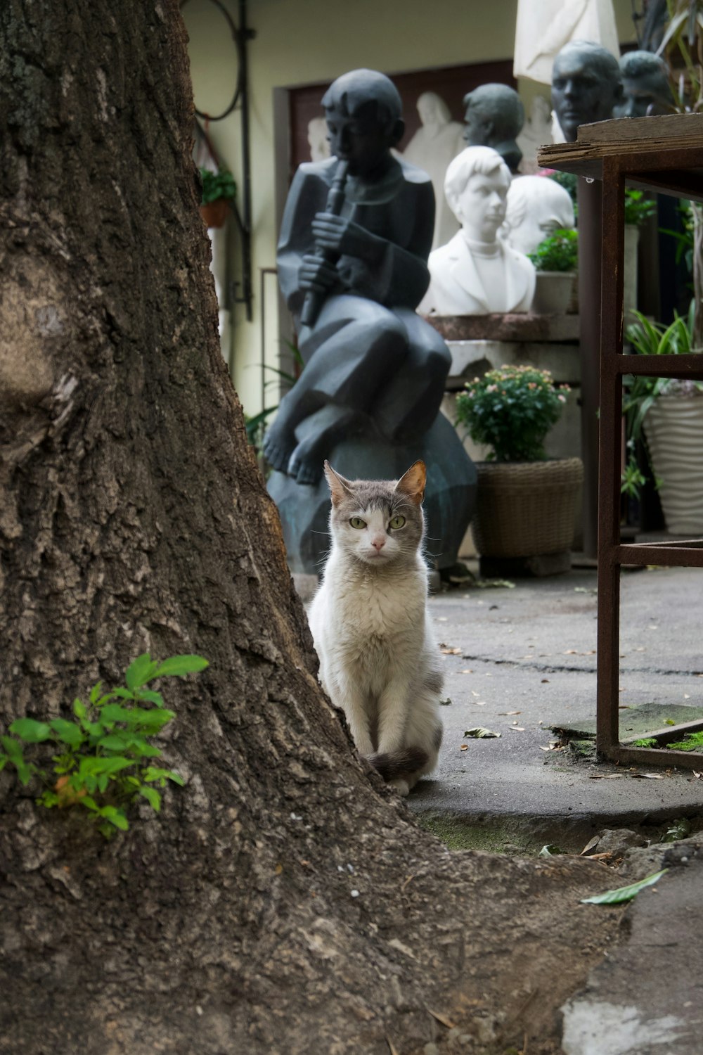 a cat sitting on the ground in front of a statue