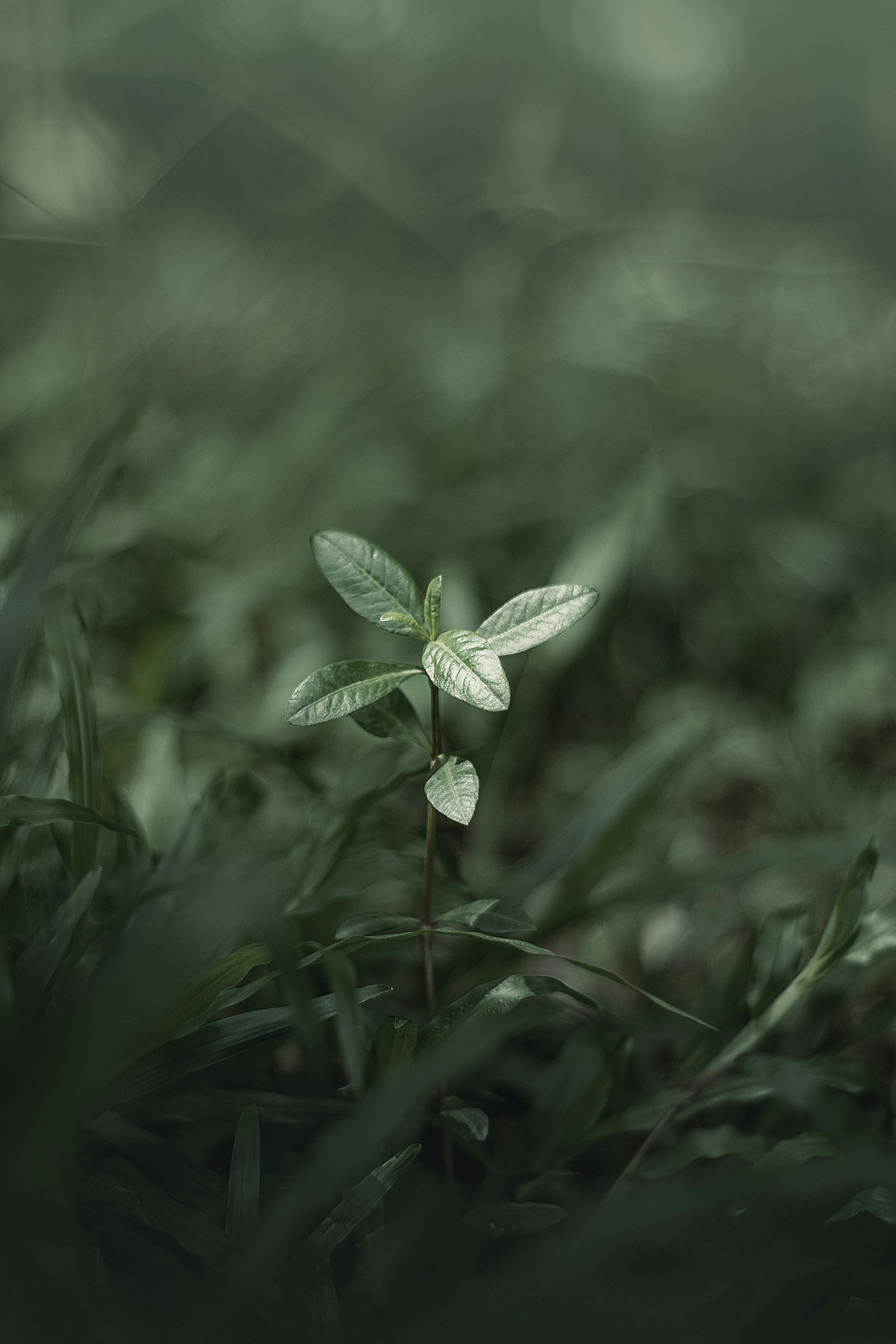 Photo by tarikulxraana