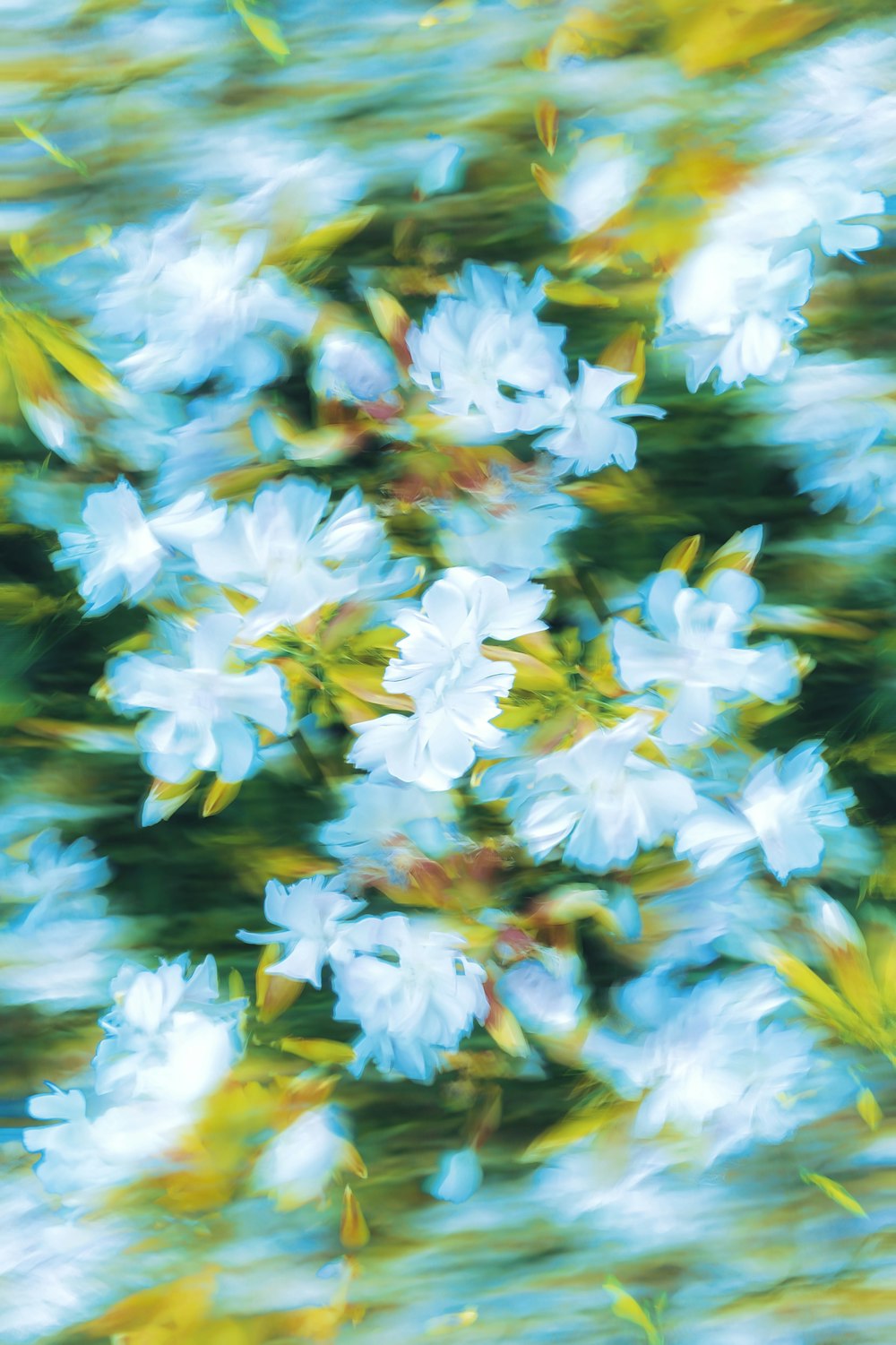 a blurry photo of a bunch of flowers