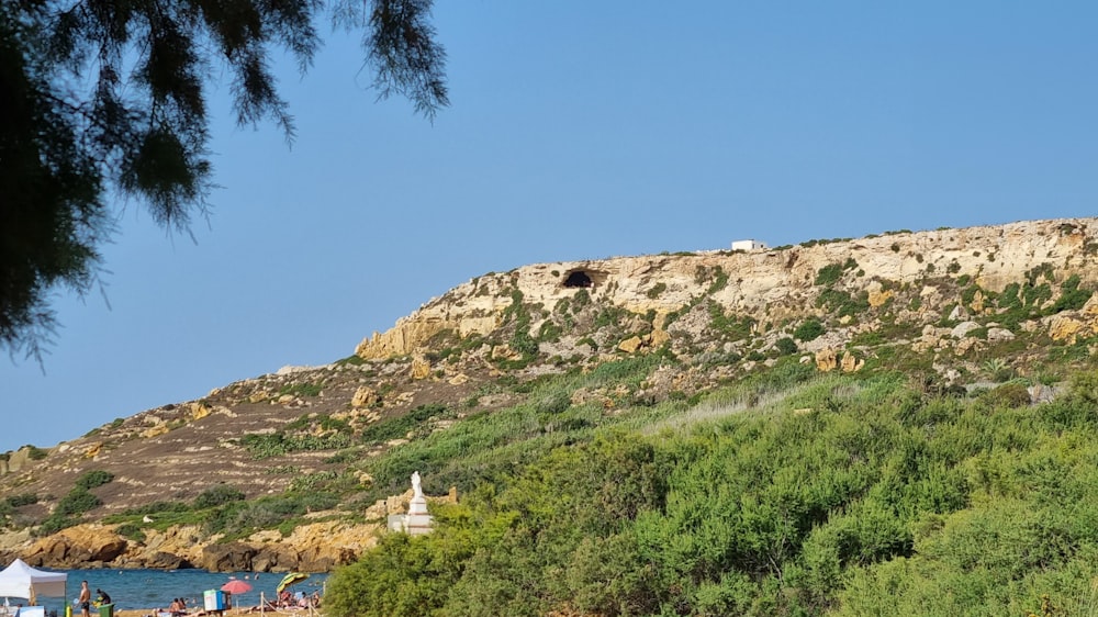 a group of people standing on top of a lush green hillside