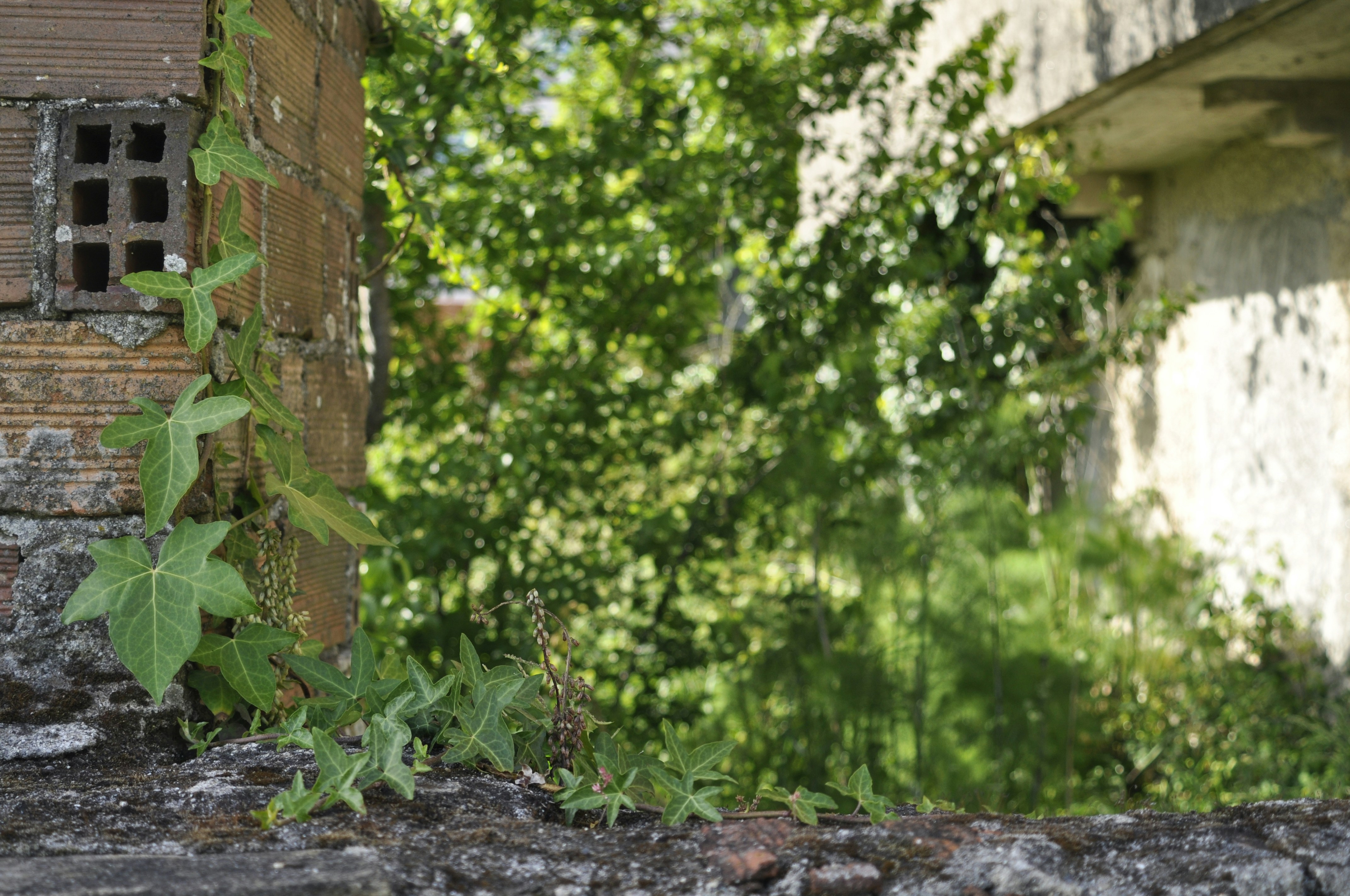 Photo by balbona_andrea