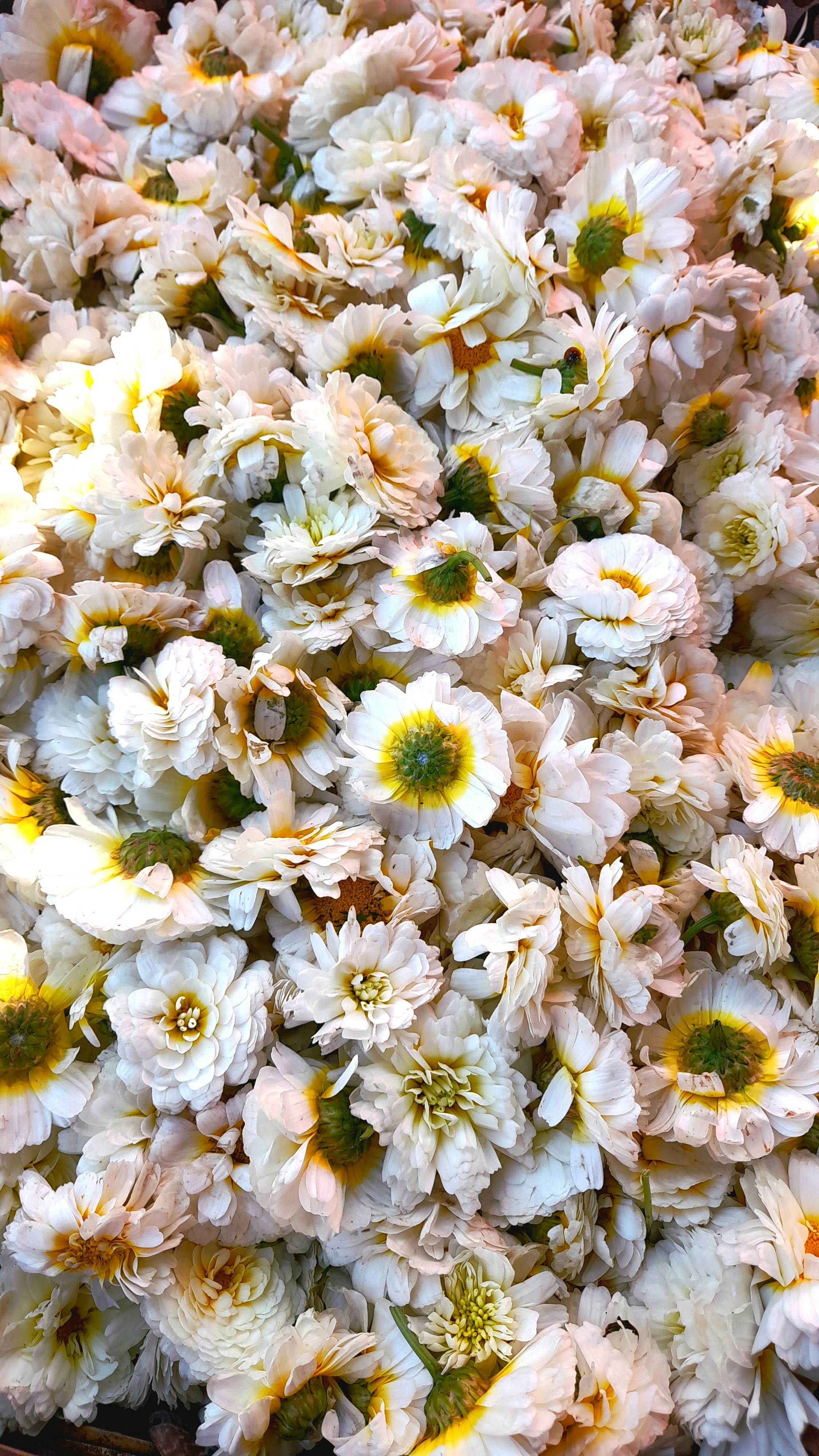 ein Blumenstrauß, der sich in einer Schale befindet