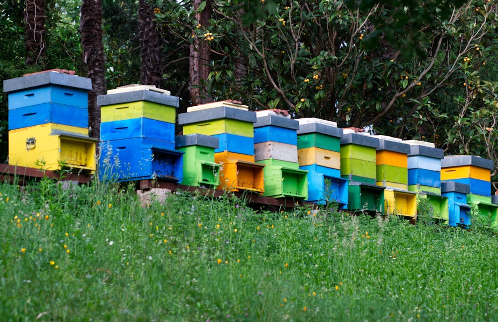 une rangée de ruches au sommet d’un champ verdoyant