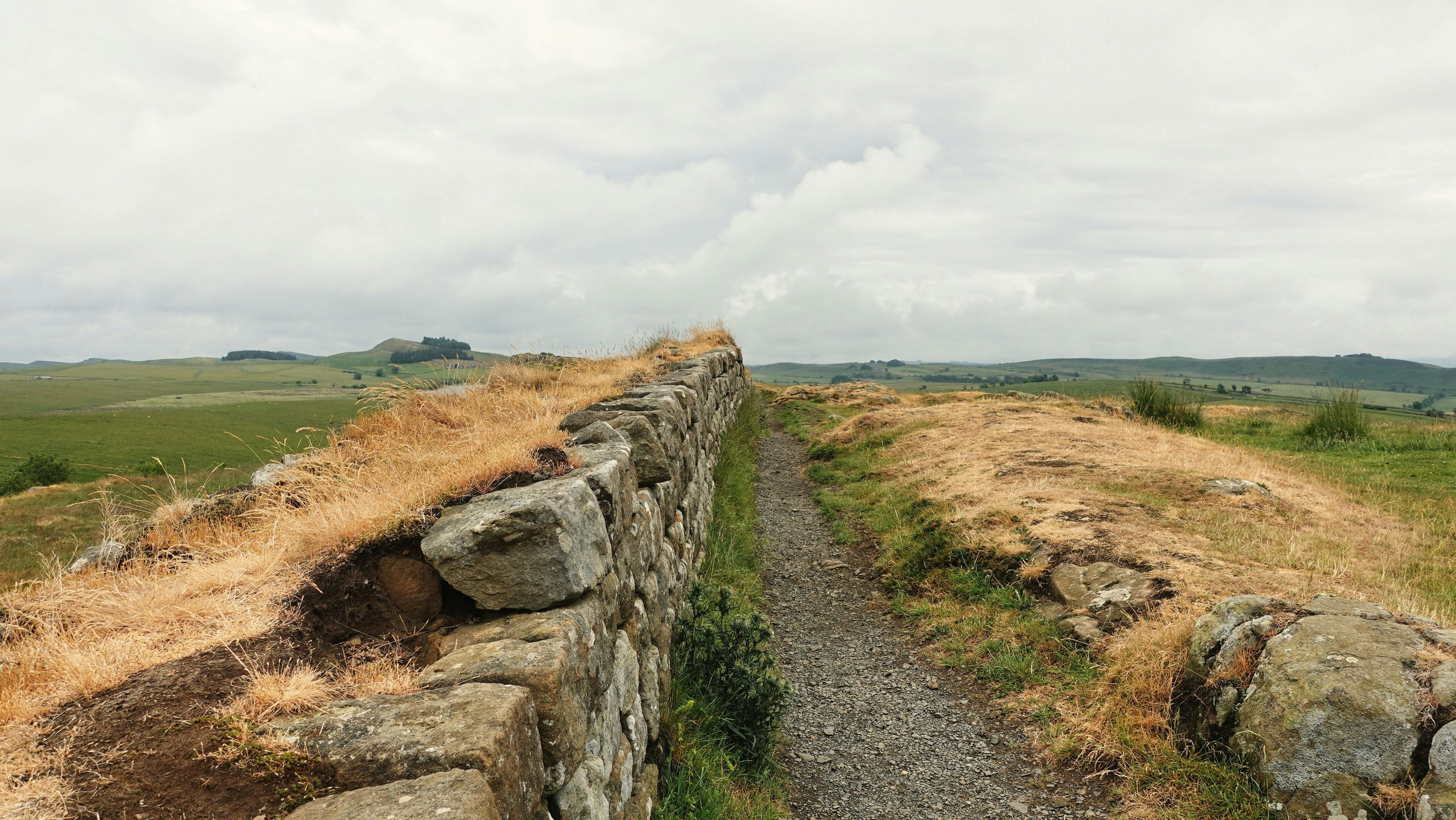 Startup Mentality to hit a wall