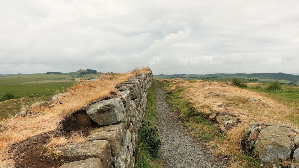 un mur de pierre avec de l’herbe qui pousse dessus