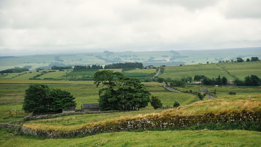 a lush green field with a stone wall