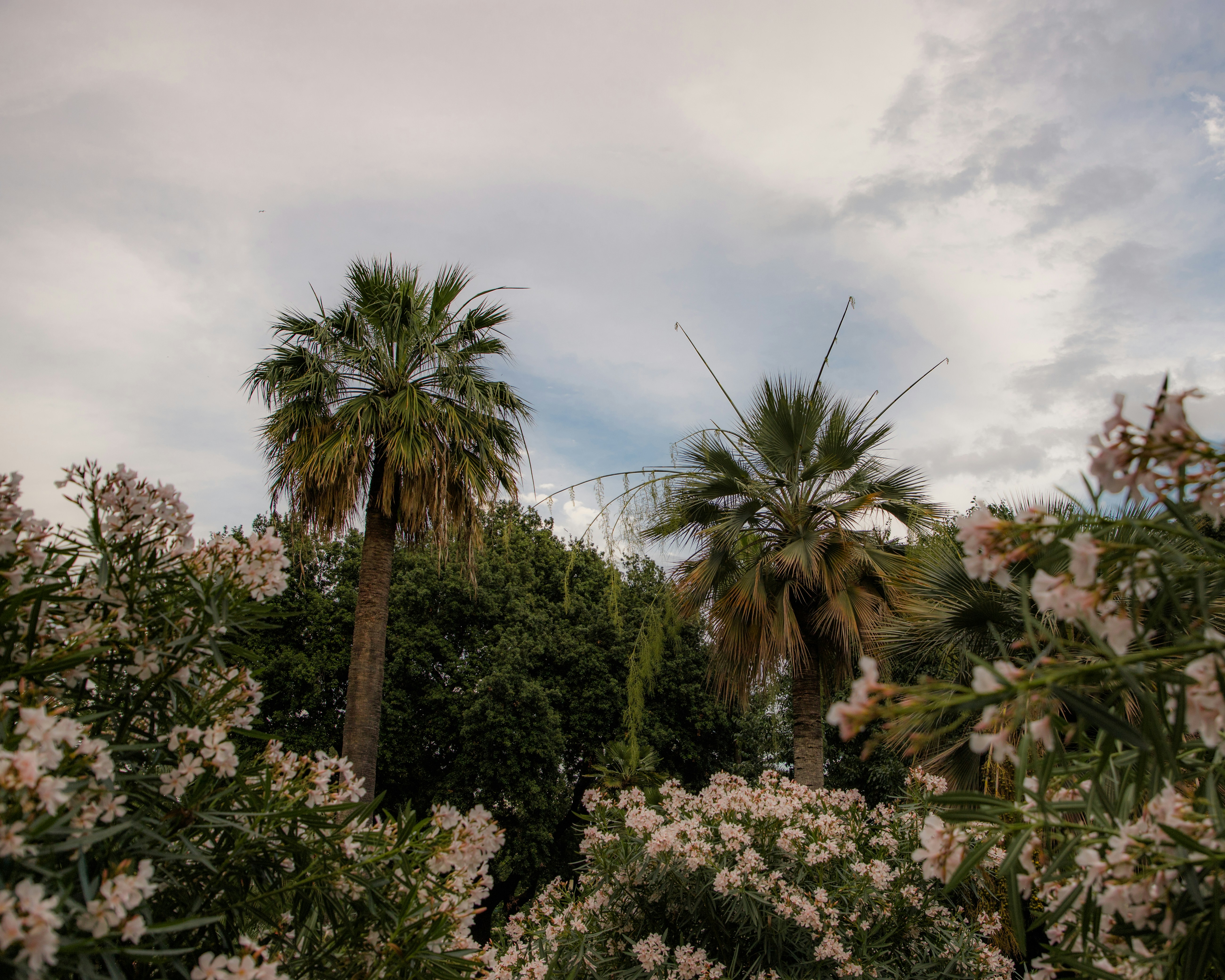 Photo by jovanvasiljevic