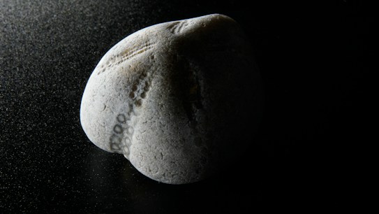 A smooth, rounded stone with a mottled surface is placed on a textured, dark background. The lighting emphasizes subtle patterns on the stone, creating a contrast between the stone's light tones and the surrounding darkness.