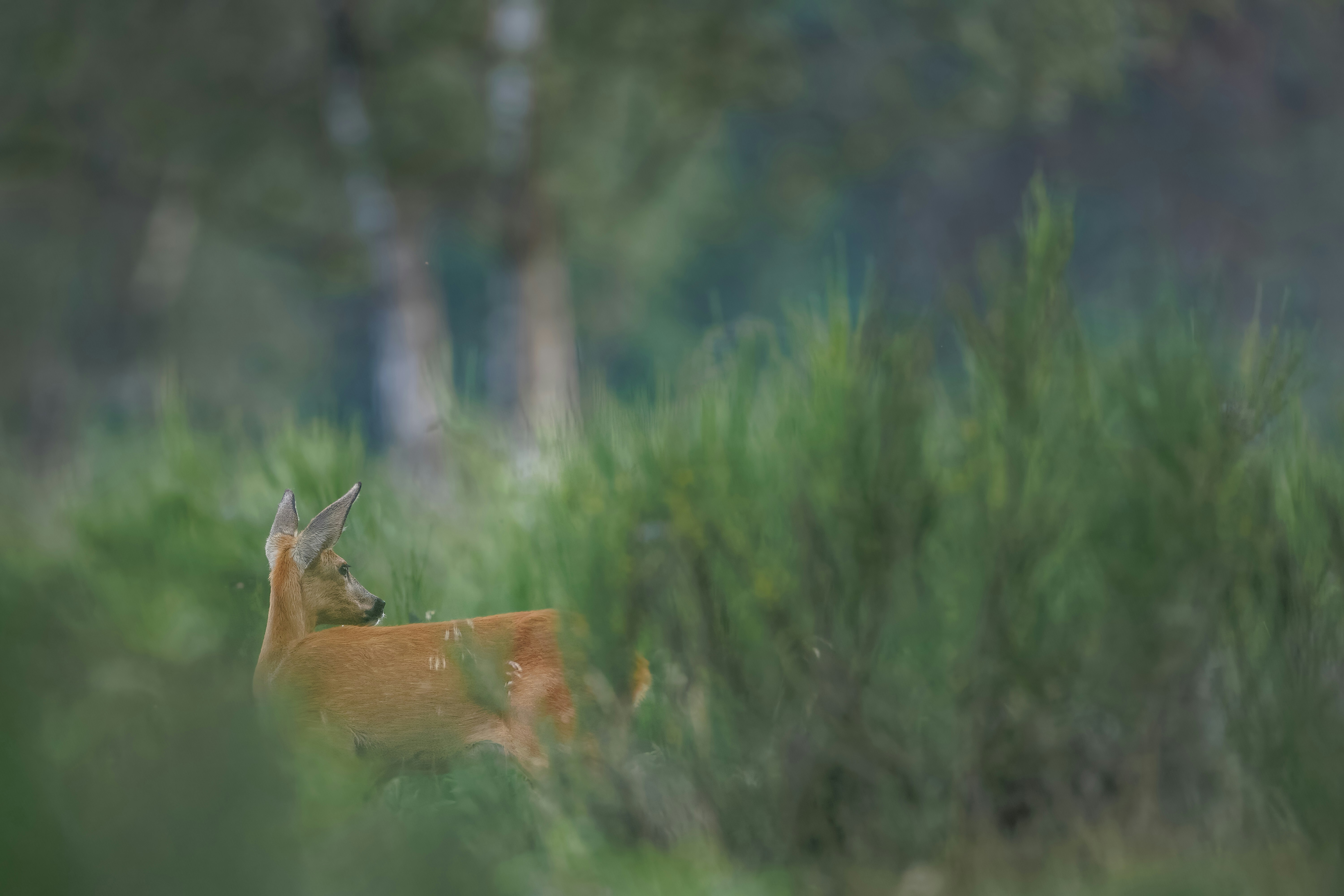 Photo by vincentvanzalinge